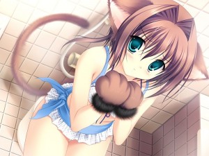 Создать мем: anime cat girl, аниме кошкодевочки, аниме
