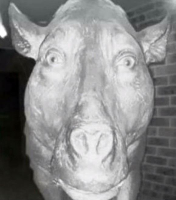 Create meme: scp-087, daeodon meme, scary pig