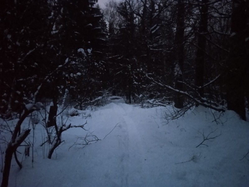 Create meme: taiga forest, forest , winter road