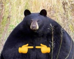 Create meme: magnifier, nature, bear