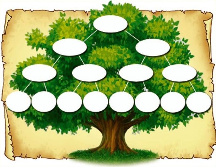 Create meme: family tree template, family tree, family tree