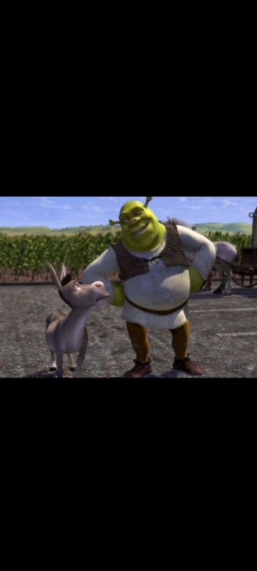 Create meme: donkey shrek, Shrek jokes, Shrek 2001 