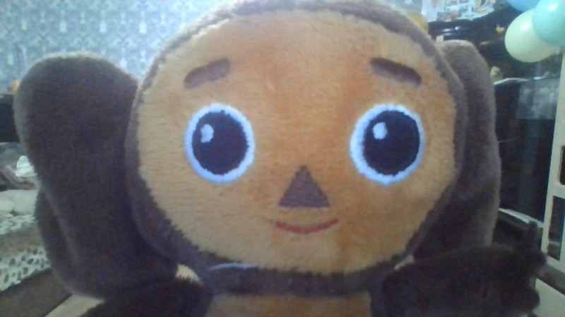 Create meme: toy Cheburashka, cheburashka is a soft toy, toy 