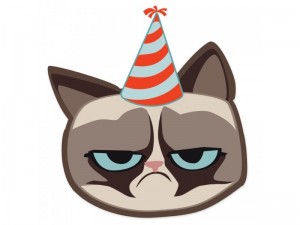 Create meme: ugly cat, party cat, grumpy cat png