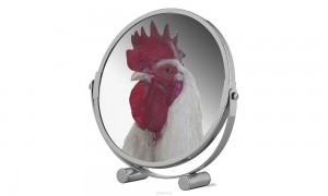 Create meme: rooster, mirror, the mirror
