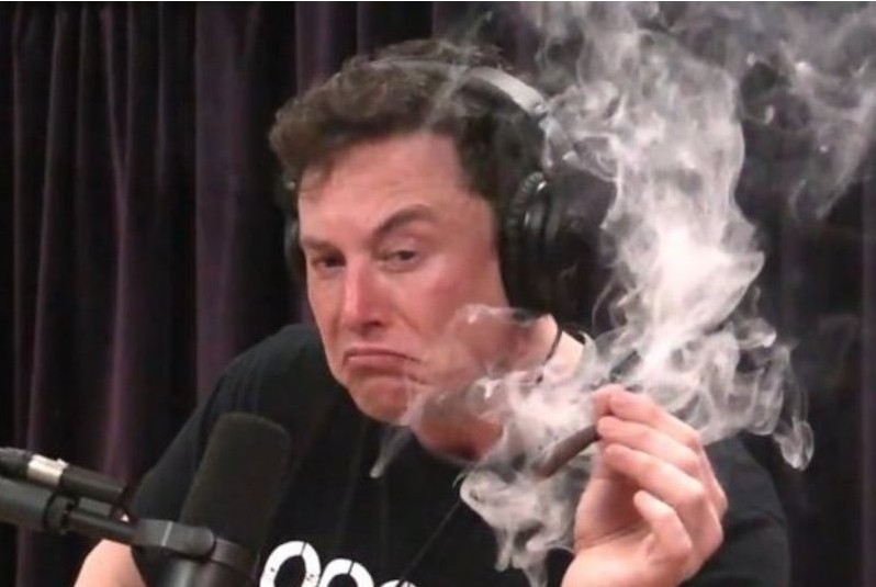 Create meme: elon musk, Elon musk smokes weed, Elon musk smokes live