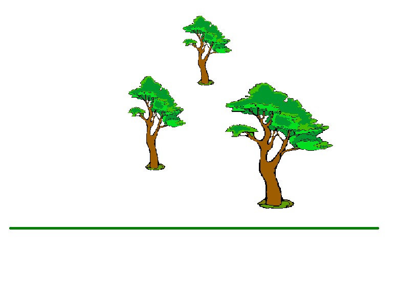 Создать мем: дерево анимация, дерево деревья, иллюстрация