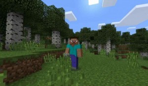 Create meme: mod, minecraft, minecraft xbox