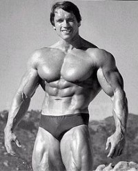 Create meme: the son of Arnold Schwarzenegger, huge muscles, bodybuilding