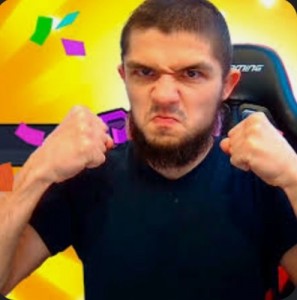 Create meme: MMA brawl stars, Khabib Conor