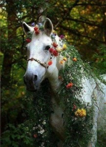 Создать мем: новогодняя лошадь, лошадь в новогоднем венке, лошадь в цветах
