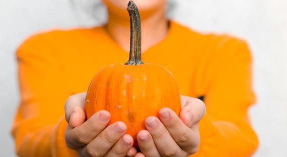 Create meme: pumpkin in the hands, pumpkin , pumpkin orange