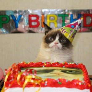 Create meme: birthday, sad cat birthday, cat in a festive hat