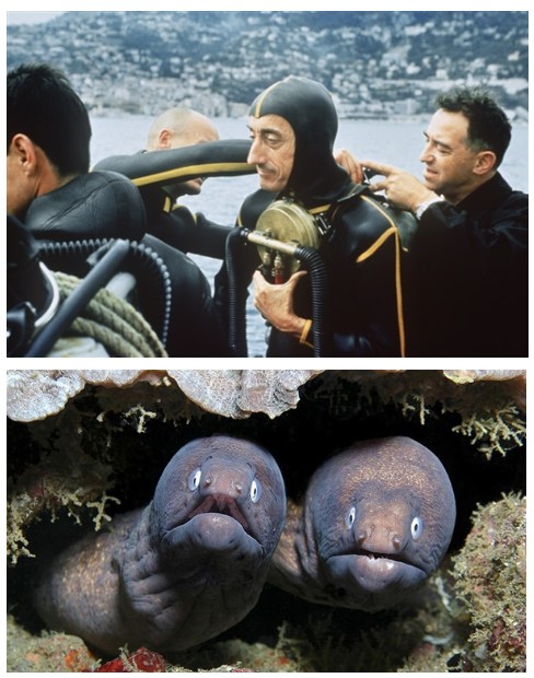 Создать мем: jacques cousteau, подводная одиссея команды кусто, мурена