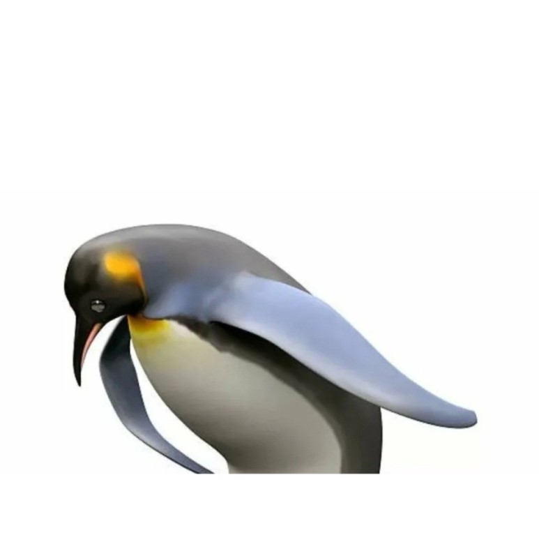 Создать мем: пингвин мем, пингвин птица, кланяющийся пингвин