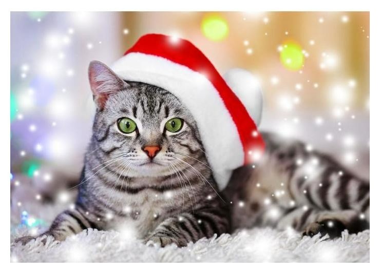 Create meme: diamond mosaic red cat striped kitten in a hat, new year 's cat, New Year's cat