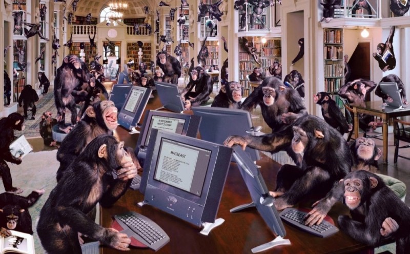 Создать мем: обезьяна с компьютером, stoopid buddy studios, обезьяна перед компьютером