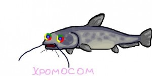 Create meme: Fish, catfish clipart, clipart fish