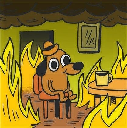 Create meme: meme dog in a burning house, dog in heat meme, a dog in a burning house