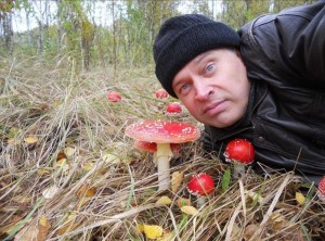 Создать мем: лес грибы, грибочки, красный гриб