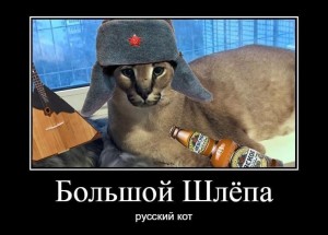 Создать мем: большой шлёпа каракал, кот шлёпа, шлёпа русский кот