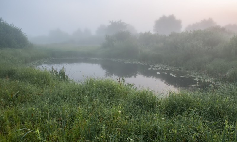 Create meme: morning on the river, morning mist , August fog