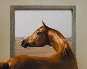 Create meme: portrait, horse drawing, horse
