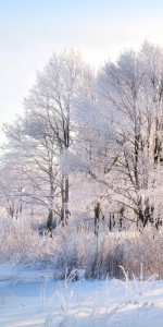 Создать мем: иванов зимний пейзаж картина, ангарск зимний пейзаж, зимнее