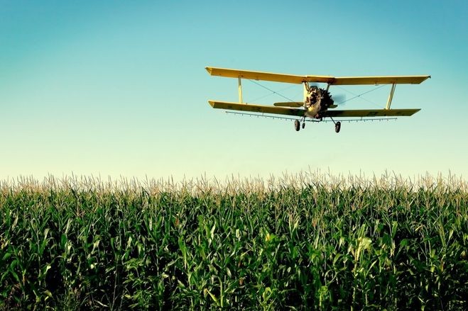 Create meme: The plane landed in a cornfield, A plane in a cornfield, cornhusker AN2 in the field