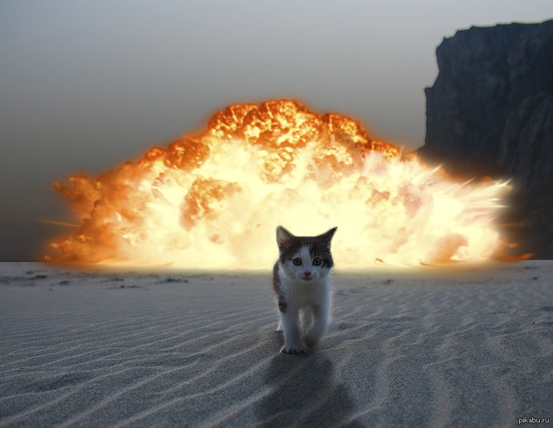 Create meme: cat on the background of an explosion, The cat explodes, cat explosion