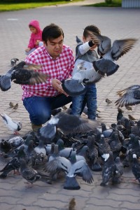 Создать мем: кормить голубей, человек голубь, мужчина с голубями
