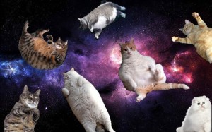Create meme: space cat, space cat