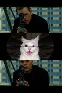 Создать мем: Снайпер и Кот