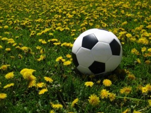 Create meme: dandelion, football, match