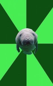 Create meme: joke, meme, manatee