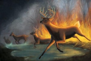 Create meme: bosque, deer, forest fires