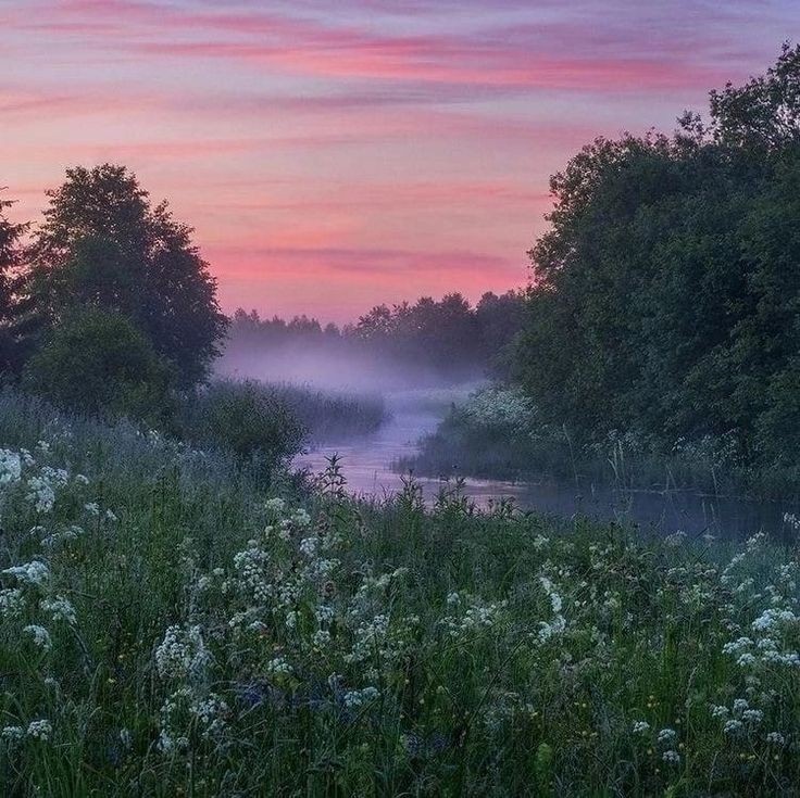 Create meme: morning landscape, summer landscape, dawn on the river