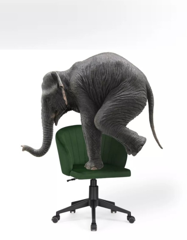 Создать мем: огромный слон, кресло тибо, игровое кресло хайпер х