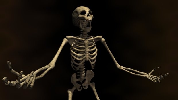 Создать мем: тело человека скелет, фон скелет, скелет кости