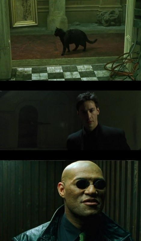 Create meme: matrix , The Matrix resurrection The new Morpheus, Neo deja vu