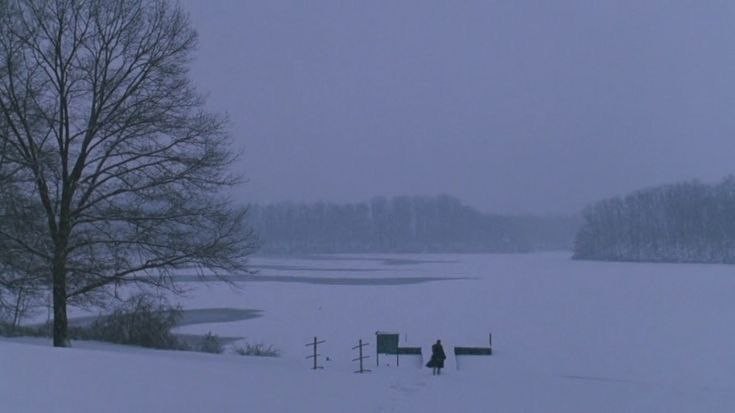 Create meme: winter , nature , river meadows in winter