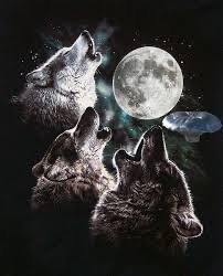 Create meme: wolf howling at the moon, a pack of wolves howls at the moon, moon wolf