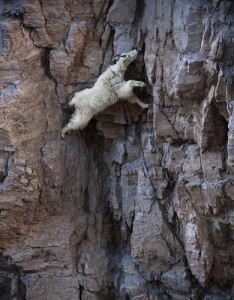 Create meme: fear of heights, afraid of heights, rock climbing