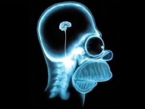 Создать мем: рентген мозга симпсона, рентген мозга гомера, мозг гомера симпсона рентген