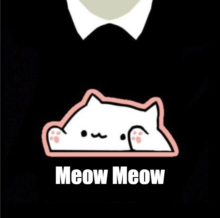 Создать мем: roblox t shirt, bongo cat, bongo cat триггеред