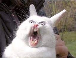 Create meme: evil rabbit, screaming hare, screaming rabbit