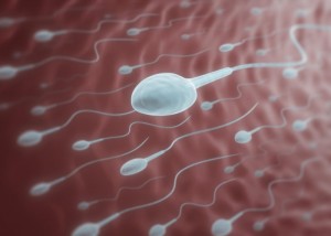 Создать мем: сперматозоид, семенная жидкость