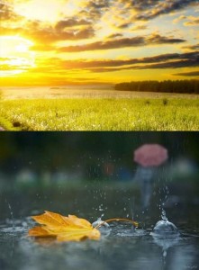 Create meme: autumn weather in the shower, pictures of autumn rainy weather, rain fall