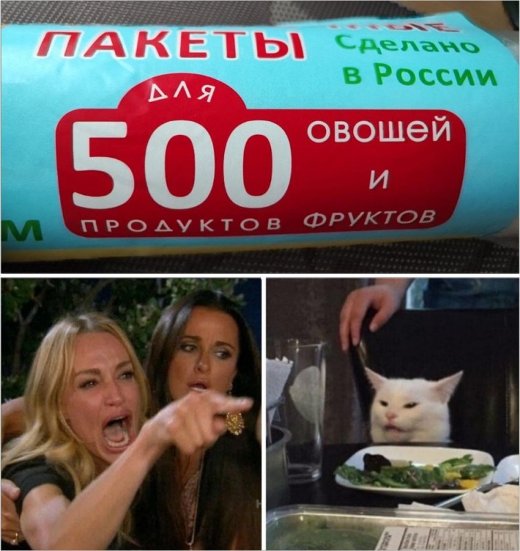 Create meme: meme the cat and the women, the meme with the cat at the table, memes with a cat and girls