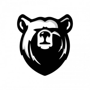 Создать мем: медведь значок, морда медведя пнг, медведь лого